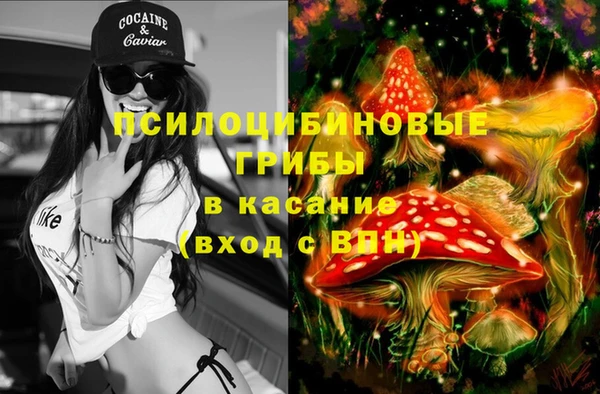 мдпв Беломорск