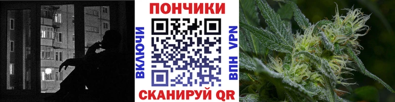 Шишки марихуана марихуана  Салаир 